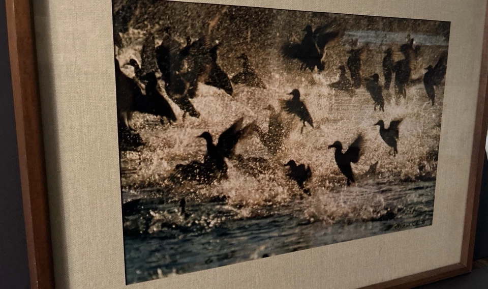 Foto impresa firmada por Robert Schmitt Skyward Audubon Society certificado de autenticidad Foto 4 de 4