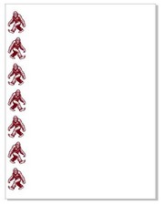 Bigfoot Notepad NP40