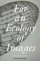For An Ecology Of Images | Peter Szendy | Englisch | Taschenbuch | 2025