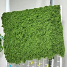 Artificial Green Moss Mat Decoration Carpet Grass Wall 19.68 x 19.68 Inch DIY