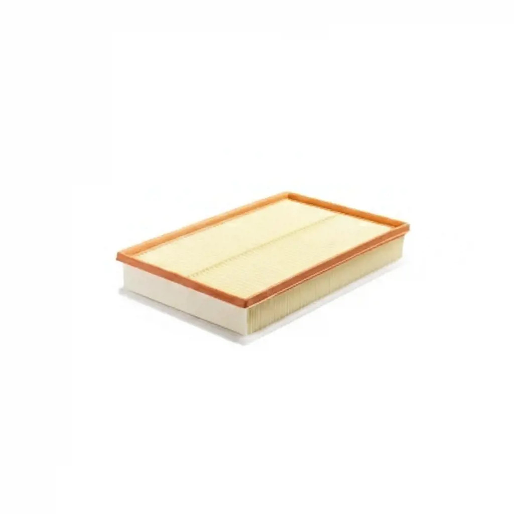 SOFIMA S 3D32 A Filtro aria Cartuccia filtro - Immagine 2