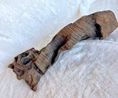 Large Driftwood Statement Piece Aquarium Aquascape Terrarium Reptile Wood Decor