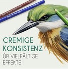 Bild 5 von 8