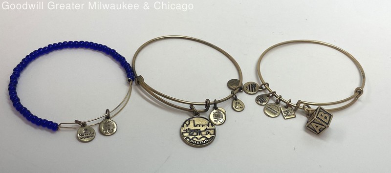 Alex & Ani Gold Tone Charm Bangle Bracelets 30g