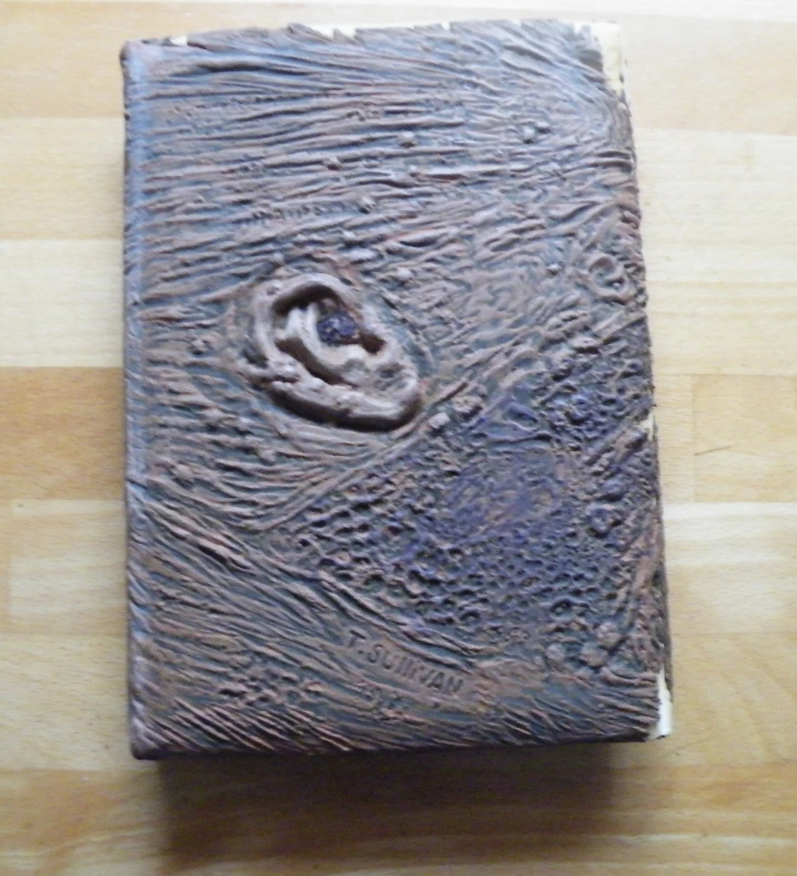 The Evil Dead: Book of the Dead Rare Collectors’ DVD - Cover Worn, Inside Good - Image 2 of 4