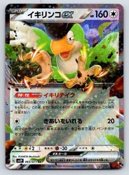 Squawkabilly ex 065/071 Snow Hazard