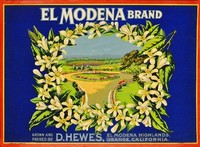 Hewes' El Modena Highlands 2 Lemon Citrus Fruit Crate Label Art Print Hewes' El Modena Highlands 2 Lemon Citrus Fruit Crate Label Art Print