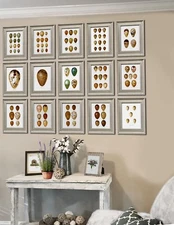 Farmhouse Wall Decor Set of 15 Unframed Bird Eggs Wall Art Prints