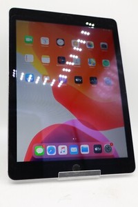 Apple iPad Air 2 16GB WLAN A1566 Space Grau Displayschaden #5077