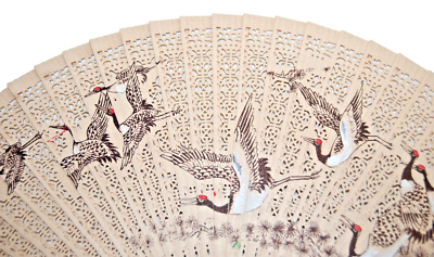 Chinese Wooden Hand Fan Hand-Painted & Carved Decorative with Box