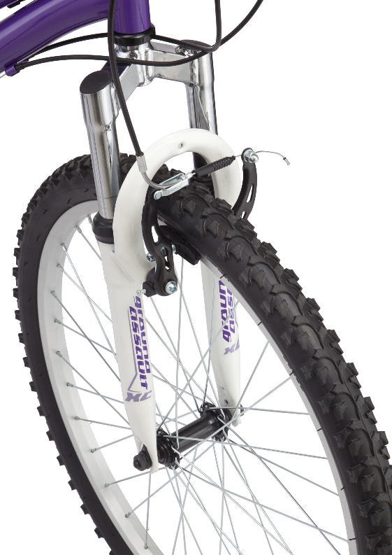 schwinn signature cimarron 24