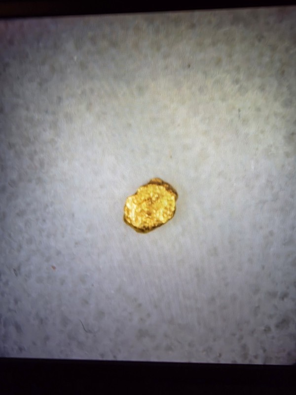 Pure Gold Nugget California Natural Small Gold Nugget .060 of a Gram, Beautiful!