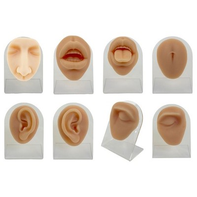 Reusable Silicone Facials Anatomy Practice Model For Safe Piercing In Classes