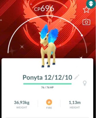 Pokémon Go - Ponyta Shiny (chromatique) - Échange Ou Enregistrement