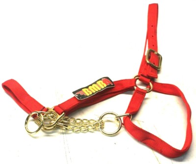 BMB Brand Red Nylon Cow/Heifer Control Halter in Medium 44117