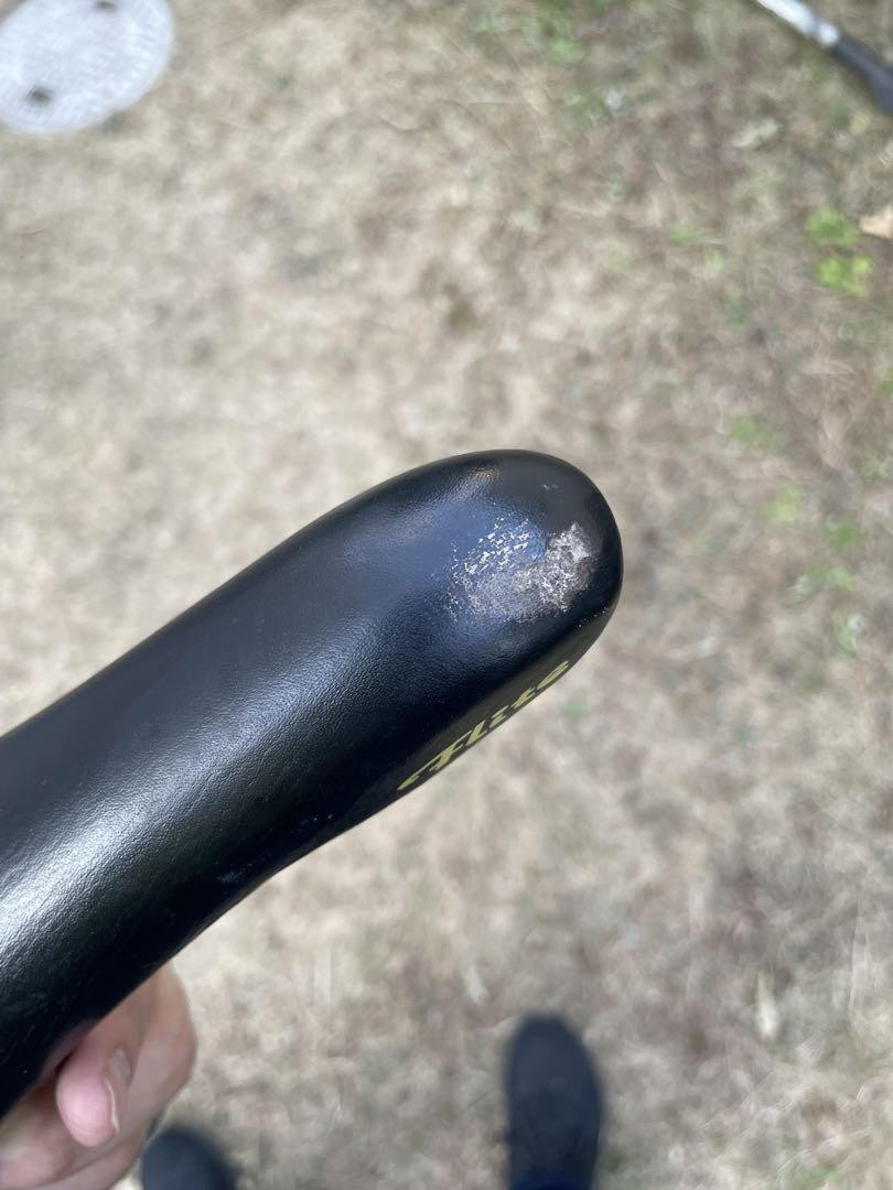 Serra Italia Flite Transalp Titanium Saddle | eBay