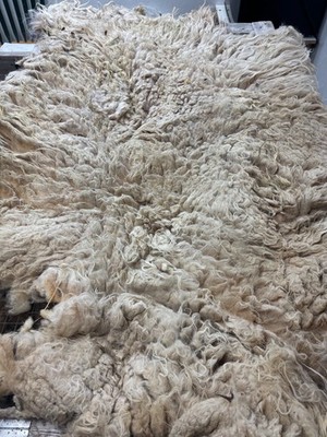 4.5lbs Navajo Churro Sheep Wool fiber fleece spinning weaving felting felted