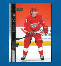 2020-21 Upper Deck Troy Stecher Card, Detroit Red Wings #550