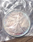 1991 AMERICAN SILVER EAGLE COIN 1 Oz. FINE SILVER Uncirculated Beautiful Tone!!
