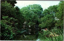 Postcard HOUSE SCENE Cape Cod Massachusetts MA o/19 AK1387