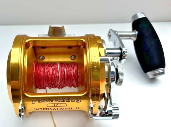 Penn Reels International II 12T Lever Drag Fishing Reel Trolling