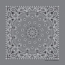 Charcoal Paisley 22x22 Bandanna