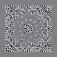 Charcoal Paisley 22x22 Bandanna