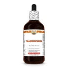 Frankincense (Boswellia Serrata) Dried Resin Liquid Herbal Extract