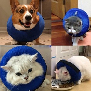 cat inflatable cone