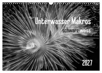 Calendar 2027 · US Version · Underwater Macros - Black And White 2027 (Wall Cale