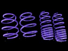D2 Racing Sport Lowering Springs For 16 Civic Sedan Coupe Hatch D-sp-hn-25-3 D2 Racing Sport Lowering Springs For 16 Civic Sedan Coupe Hatch D-sp-hn-25-3