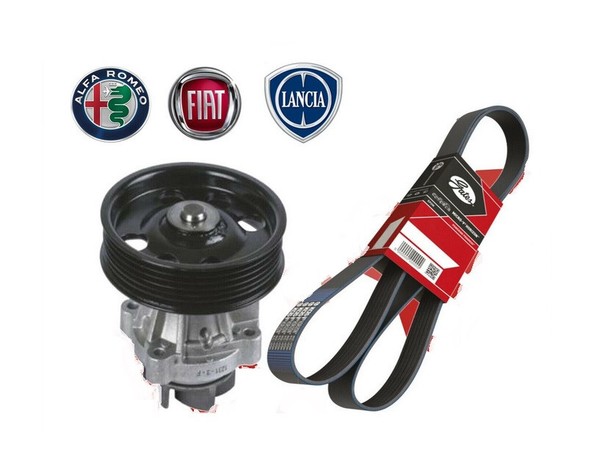 DienstgüRtel + Wasserpumpe Fiat Grande Punto 500L 1.3 MJT 70 75 90CV-image