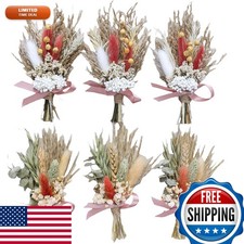 Mini Dried Flower Bouquet (Pack of 6) Dark Orange