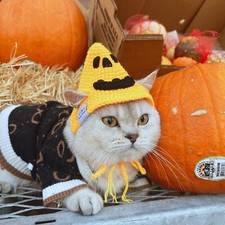 halloween pumkin crochet hats for cats and small dogs/ knit cat hat