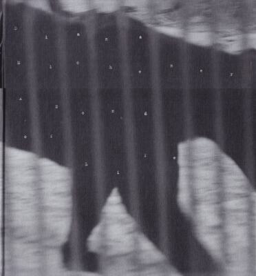 A Song of Life: Being Animal [Hardcover] Michener, Diana Steidl V