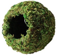 Galapagos Green Mossy Cave Reptile Corner Hide for Amphibians 4 and 6 Inch