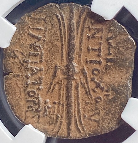 114-95 BC NGC Certified Ancient Greek Seleucid Kingdom Coin Antiochus IX Genuine - Picture 11 of 13