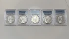 MS Morgan Dollar Lot Of 5