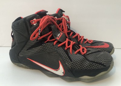 lebron 12 court vision