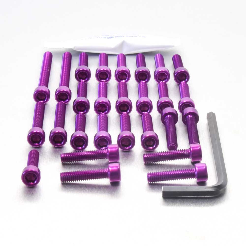 Kawasaki ZX900 E1 00 Engine Fastener Kit Purple | eBay
