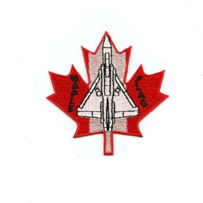 RCAF CAF Canadian French 4 Wing Cold Lake 2004 Maple Flag Colour Crest Patch 2