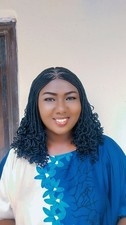 Braided Wig