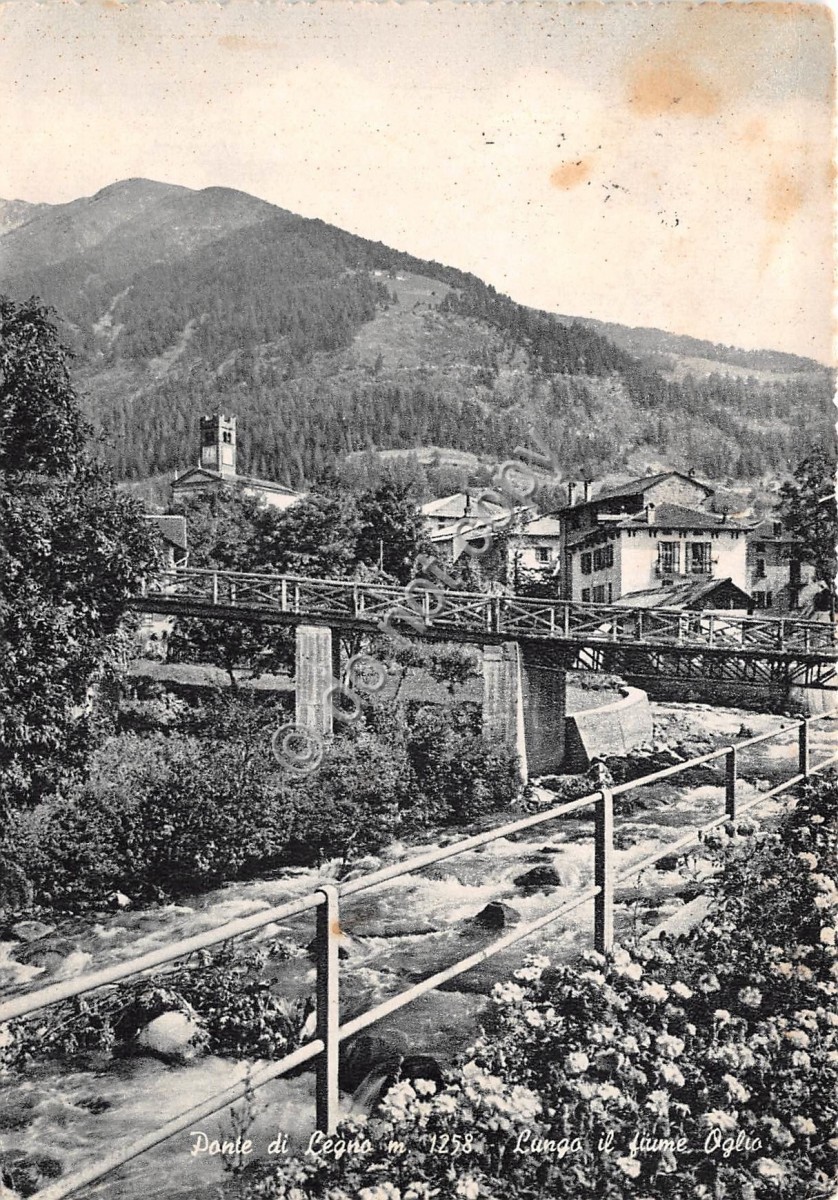 Cartolina - Ponte di Legno Lungo Fiume Oglio 1959