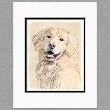 Golden Retriever Dog Original Print 8x10 Matted to 11x14