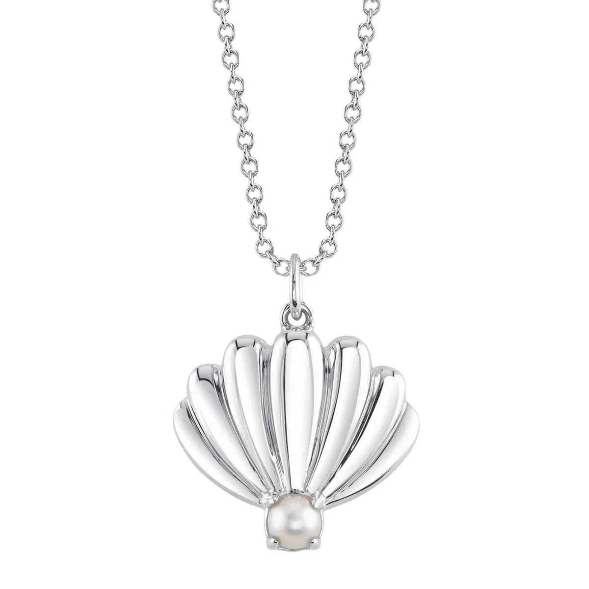 14K White Gold Pearl Seashell Pendant Necklace Shell Charm 3.5 MM