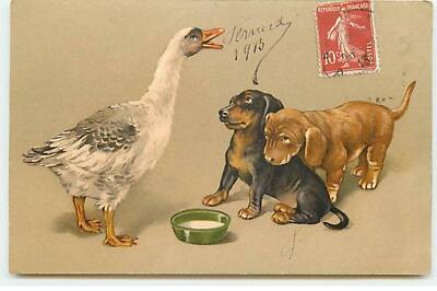Animals - Dogs - Two puppies looking at a goose - Dachshund - ST139 - 340