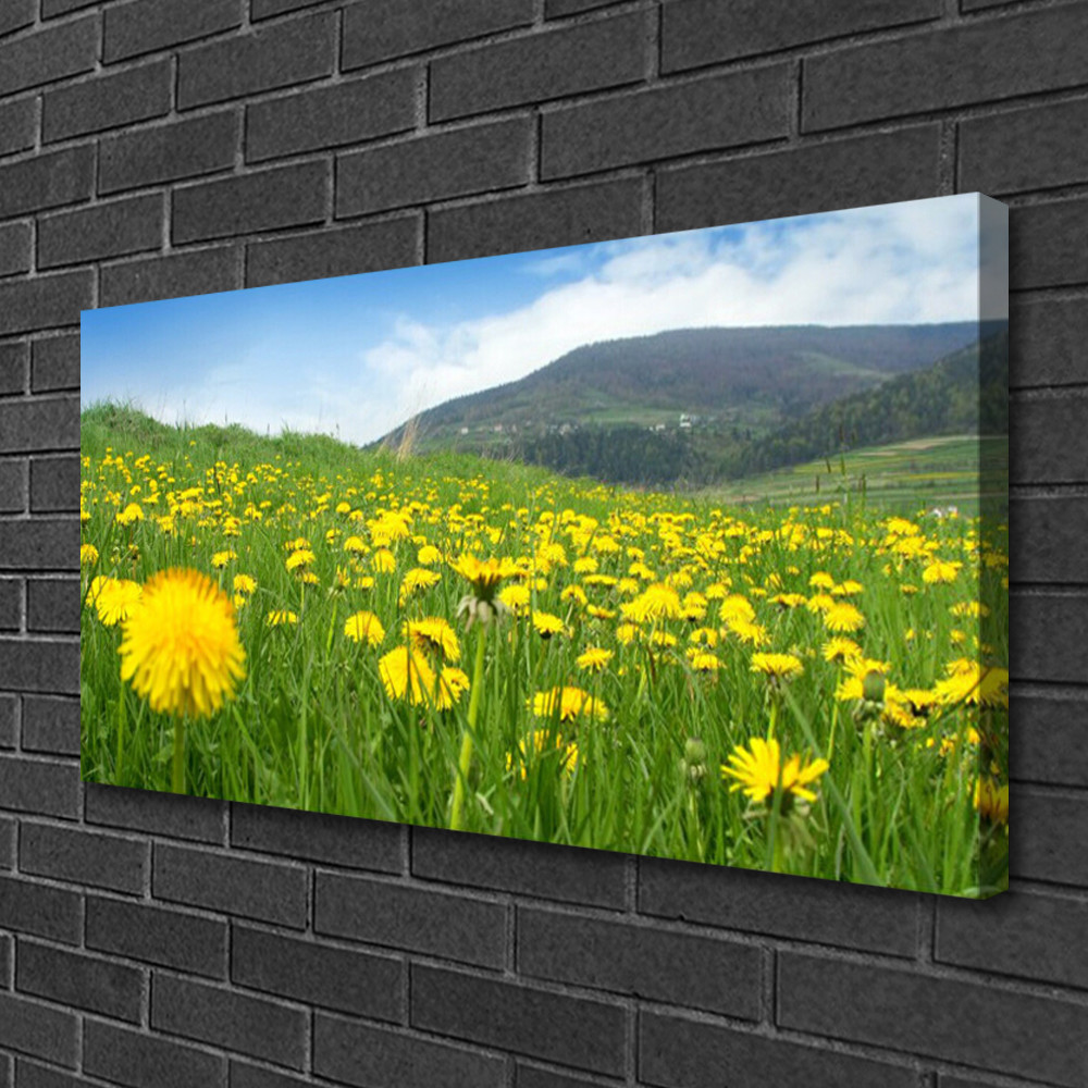 Tableau sur toile pissenlit 100x50 cm panoramique pour décoration murale de salon