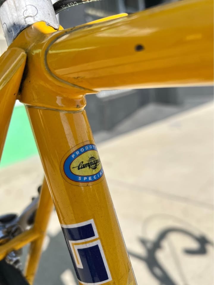 GRIFFON Road Bicycle Handmade by Jim Holly California Columbus Tubing 55cm c~t