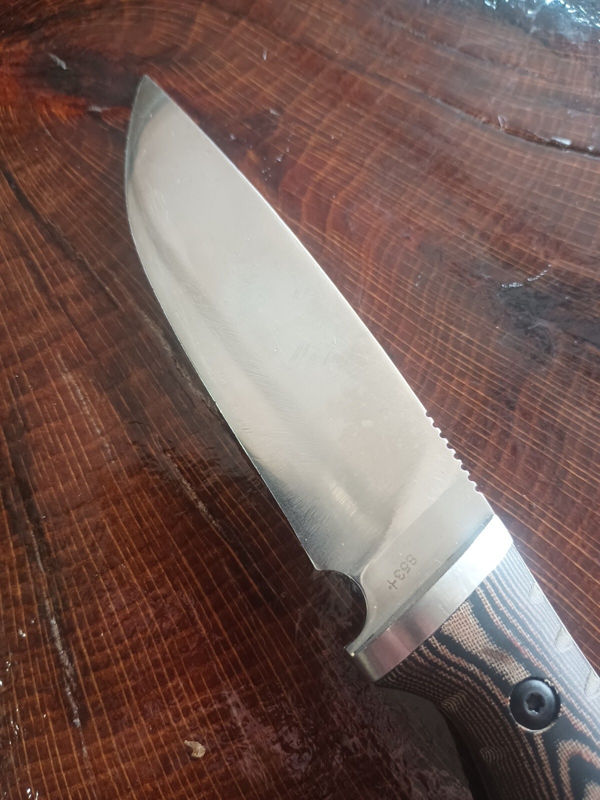 Buck Knives 853 Small Selkirk Fixed Blade Knife 33753138294 eBay