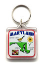 Vintage Maryland Oriole Annapolis Black Eyed Susan Flag Facts Keyring Keychain — photo 1
